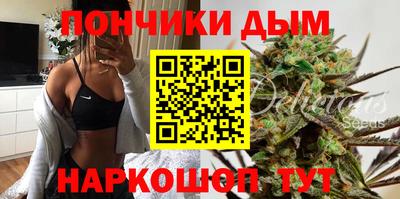 молекула духа Будённовск