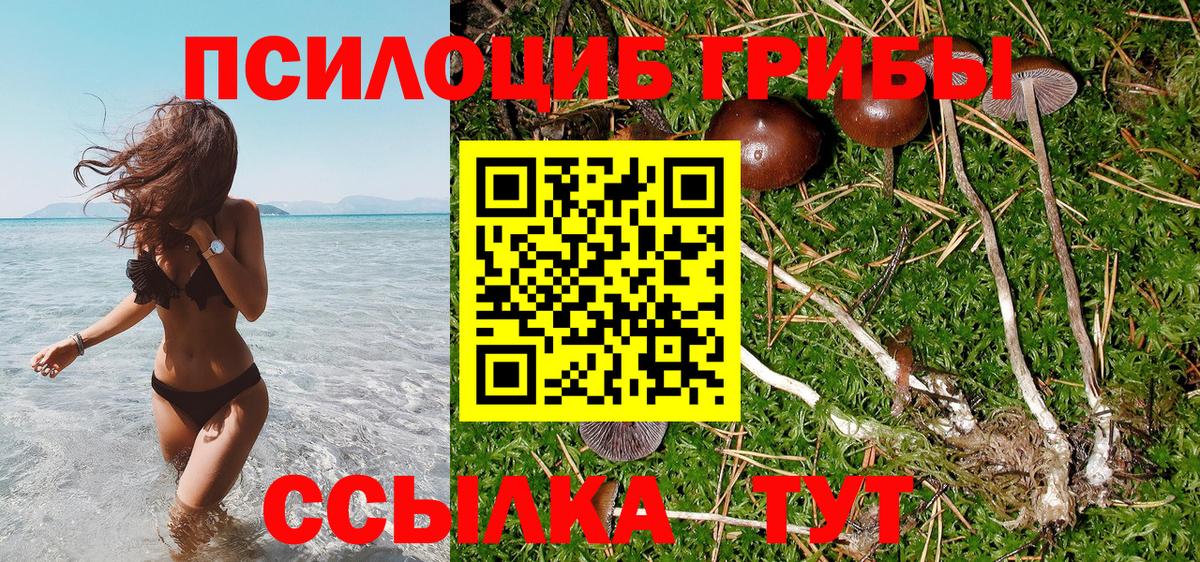 Котельники  Галлюциногенные грибы Magic Shrooms  Вход с VPN 