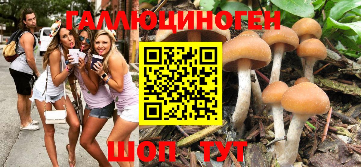 Псилоцибиновые грибы Magic Shrooms Котельники